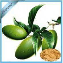 Anti-Diabetes, Anti-Oxidant Olive Leaf Extract Oleuropein